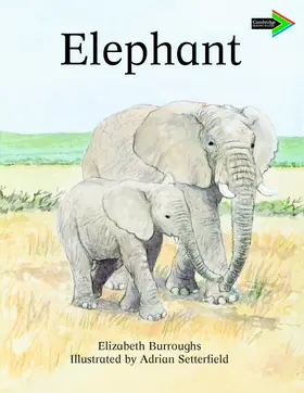 Rose |  The Lion and the Mouse South African Edition | Buch |  Sack Fachmedien