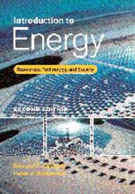 Cassedy / Grossman |  Introduction to Energy | Buch |  Sack Fachmedien