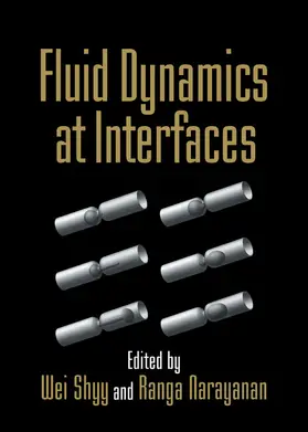 Narayanan / Shyy | Fluid Dynamics at Interfaces | Buch | 978-0-521-64266-8 | sack.de