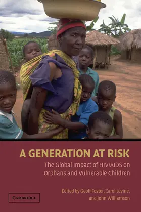Foster / Levine / Williamson |  A Generation at Risk | Buch |  Sack Fachmedien