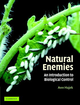 Hajek | Natural Enemies: An Introduction to Biological Control | Buch | 978-0-521-65295-7 | sack.de