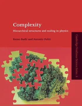 Badii / Politi |  Complexity | Buch |  Sack Fachmedien