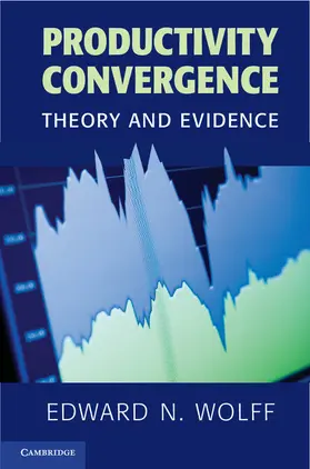 Wolff |  Productivity Convergence | Buch |  Sack Fachmedien