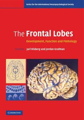 Risberg / Grafman |  The Frontal Lobes | Buch |  Sack Fachmedien