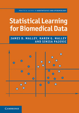 Malley / Pajevic | Statistical Learning for Biomedical Data | Buch | 978-0-521-69909-9 | sack.de