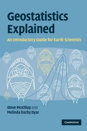 McKillup / Dyar |  Geostatistics Explained | Buch |  Sack Fachmedien