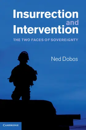 Dobos |  Insurrection and Intervention | Buch |  Sack Fachmedien