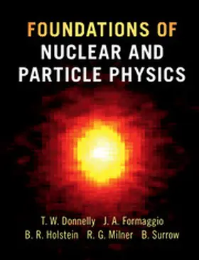 Donnelly / Formaggio / Holstein |  Foundations of Nuclear and Particle Physics | Buch |  Sack Fachmedien