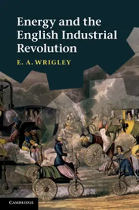 Wrigley |  Energy and the English Industrial Revolution | Buch |  Sack Fachmedien