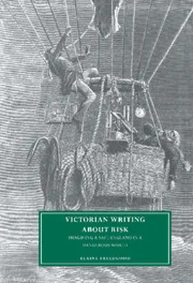 Freedgood / Beer |  Victorian Writing about Risk | Buch |  Sack Fachmedien