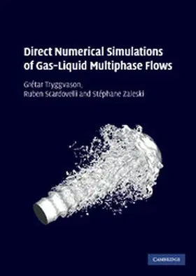 Tryggvason / Scardovelli / Zaleski |  Direct Numerical Simulations of Gas-Liquid Multiphase             Flows | Buch |  Sack Fachmedien