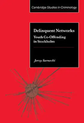 Sarnecki |  Delinquent Networks | Buch |  Sack Fachmedien