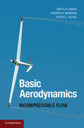 Flandro / McMahon / Roach |  Basic Aerodynamics | Buch |  Sack Fachmedien
