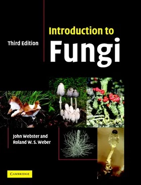 Webster / Weber |  Introduction to Fungi | Buch |  Sack Fachmedien