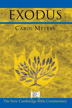 Meyers / Witherington / Arnold |  Exodus | Buch |  Sack Fachmedien