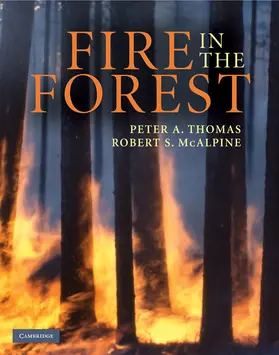 Thomas / McAlpine |  Fire in the Forest | Buch |  Sack Fachmedien