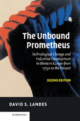 Landes |  The Unbound Prometheus | Buch |  Sack Fachmedien