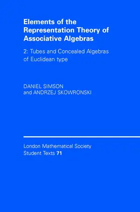 Simson / Skowro¿ski / Skowronski |  Elements of the Representation Theory of Associative Algebras | Buch |  Sack Fachmedien