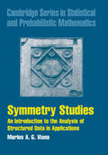 Viana |  Symmetry Studies | Buch |  Sack Fachmedien