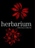 Stacey / Hay |  Herbarium | Buch |  Sack Fachmedien