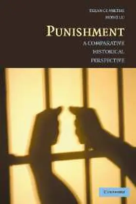 Miethe / Lu |  Punishment | Buch |  Sack Fachmedien