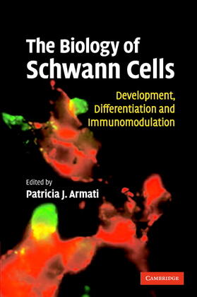 Armati | The Biology of Schwann Cells: Development, Differentiation and Immunomodulation | Buch | sack.de