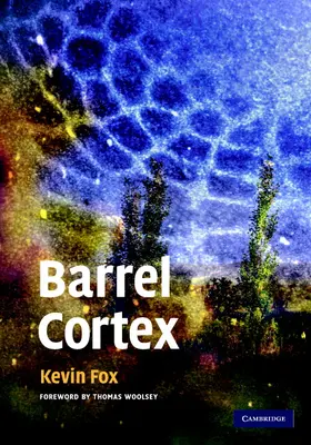 Fox |  Barrel Cortex | Buch |  Sack Fachmedien