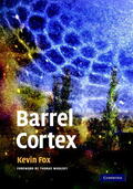Fox |  Barrel Cortex | Buch |  Sack Fachmedien