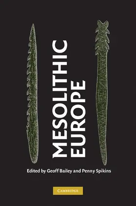 Bailey / Spikins |  Mesolithic Europe | Buch |  Sack Fachmedien