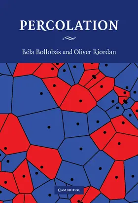 Bollobás / Riordan |  Percolation | Buch |  Sack Fachmedien