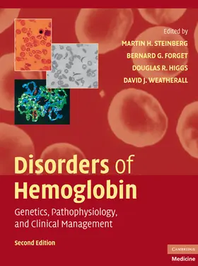 Steinberg / Forget / Higgs | Disorders of Hemoglobin | Buch | 978-0-521-87519-6 | sack.de
