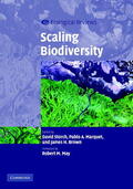 Storch / Marquet / Brown |  Scaling Biodiversity | Buch |  Sack Fachmedien