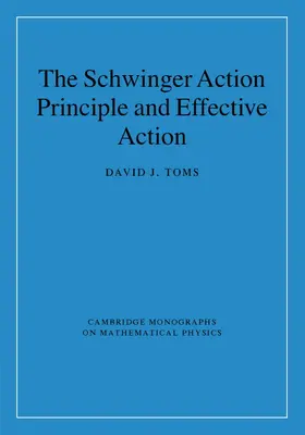 Toms |  The Schwinger Action Principle and Effective Action | Buch |  Sack Fachmedien