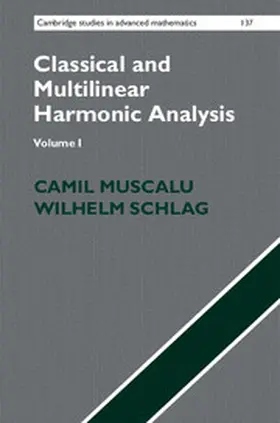 Muscalu / Schlag |  Classical and Multilinear Harmonic Analysis | Buch |  Sack Fachmedien