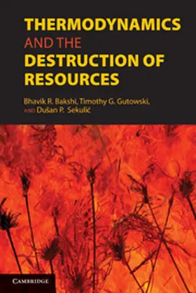 Bakshi / Gutowski / Sekulic |  Thermodynamics and the Destruction of Resources | Buch |  Sack Fachmedien