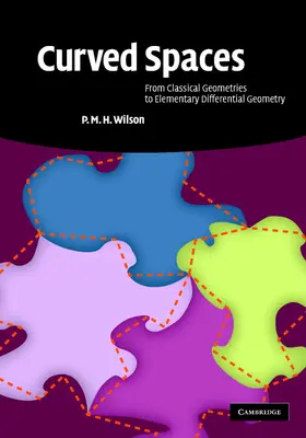 Wilson |  Curved Spaces | Buch |  Sack Fachmedien