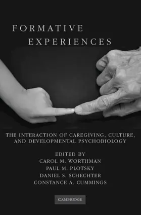 Worthman / Plotsky / Schechter |  Formative Experiences | Buch |  Sack Fachmedien