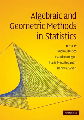 Gibilisco / Riccomagno / Rogantin |  Algebraic and Geometric Methods in Statistics | Buch |  Sack Fachmedien