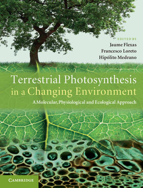 Flexas / Loreto / Medrano |  Terrestrial Photosynthesis in a Changing Environment | Buch |  Sack Fachmedien
