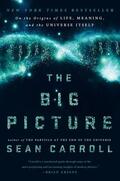 Carroll |  The Big Picture | Buch |  Sack Fachmedien