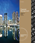 Megginson |  Financial Management | Buch |  Sack Fachmedien