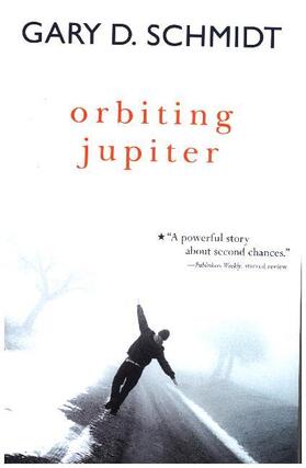 Schmidt |  Orbiting Jupiter | Buch |  Sack Fachmedien