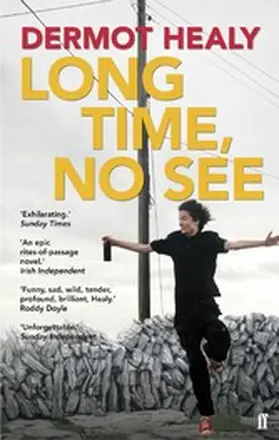 Healy |  Long Time, No See | eBook | Sack Fachmedien