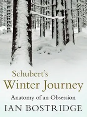 Bostridge |  Schubert's Winter Journey | eBook | Sack Fachmedien