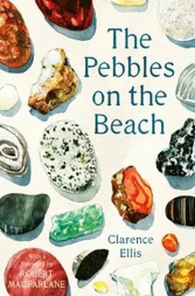 Ellis |  The Pebbles on the Beach | eBook | Sack Fachmedien
