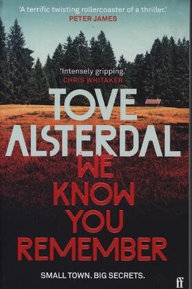 Alsterdal |  We Know You Remember | Buch |  Sack Fachmedien