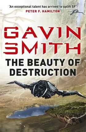 Smith |  The Beauty of Destruction | Buch |  Sack Fachmedien