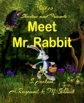 Jackson / Schmidt |  Shadow and Friends Meet Mr. Rabbit | eBook | Sack Fachmedien