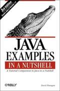 Flanagan |  Java Examples in a Nutshell | Buch |  Sack Fachmedien