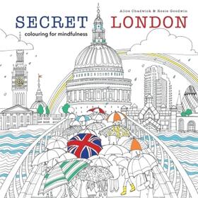 Chadwick / Goodwin |  Secret London | Buch |  Sack Fachmedien